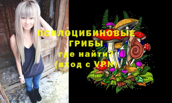 гашик Лабытнанги
