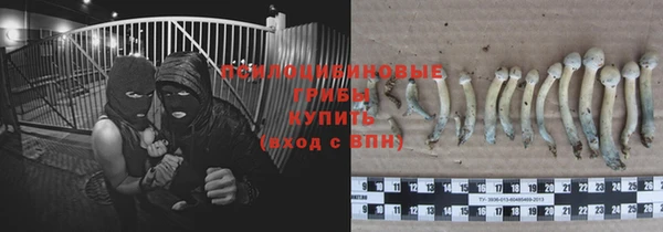крисы Ладушкин