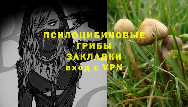 ешки Куйбышев