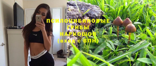 крисы Ладушкин