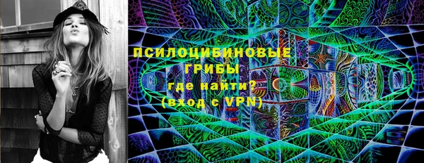 крисы Ладушкин