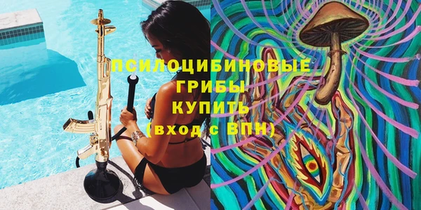 ПСИЛОЦИБИНОВЫЕ ГРИБЫ Аша