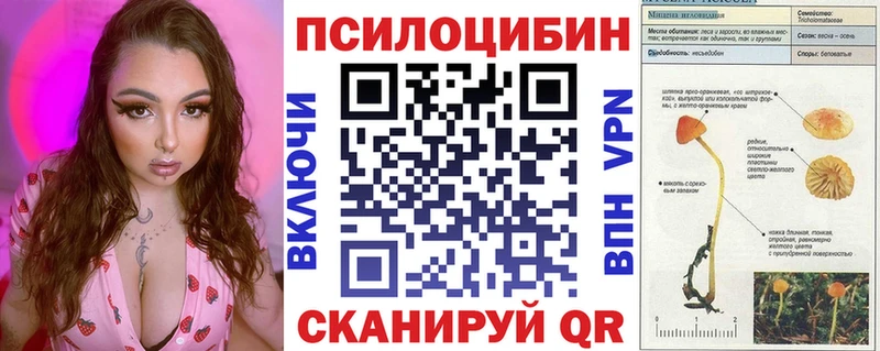 mega онион  Липки  Галлюциногенные грибы Psilocybe 